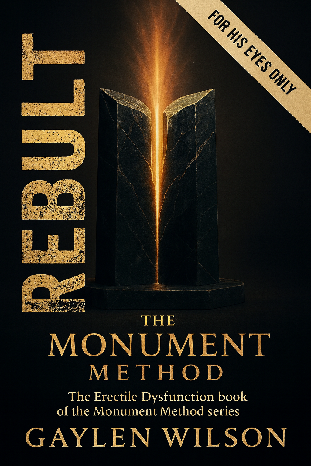 REBUILT cover